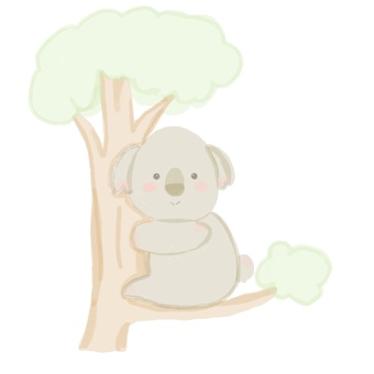 コアラ コアラ,オーストラリア,かわいい,動物,木,登る,のんびり,ゆったりのイラスト素材