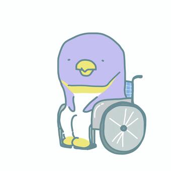ぺんぎん車椅子に乗る(シート青) ペンギン,親,大人,車椅子,病院,施設,介護施設,老人ホーム,入院,入所のイラスト素材