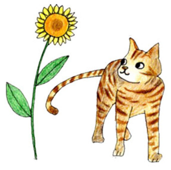 猫とヒマワリの手描きイラスト 猫,トラ猫,夏,ひまわり,暑い,8月,7月,暑中見舞いのイラスト素材