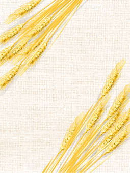 黄金色の麦穂と麻布の背景　mugi011 麦穂,黄金色,リアルのイラスト素材