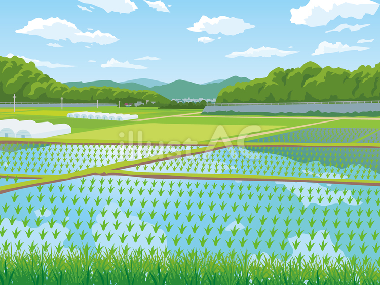 田園風景 田んぼ,田園,田舎のイラスト素材