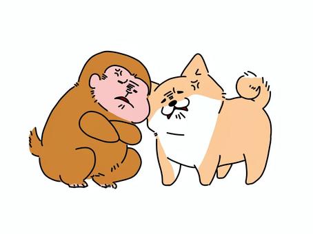 犬猿の仲 犬猿の仲 犬,猿,動物,手書き,かわいい,ゆるい,喧嘩のイラスト素材