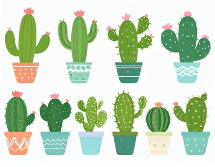 サボテンや多肉植物が並んだ植物装飾