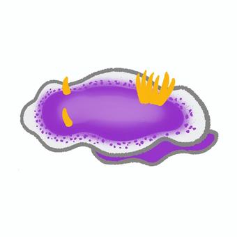 Illustration of sea creature Cinderella sea slug, JPG and PNG Illustration of sea creature Cinderella sea slug, , JPG and PNG