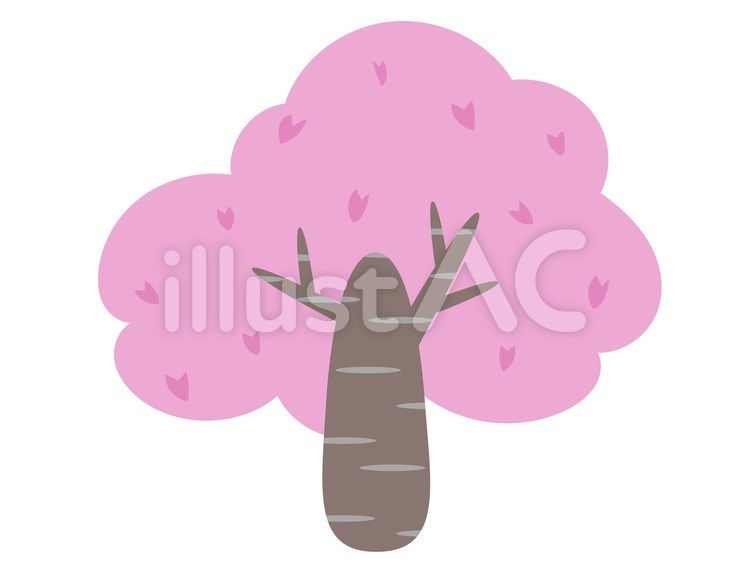 桜 桜,花,春のイラスト素材