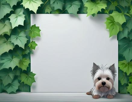 ヨークシャー・テリア　フレーム　素材