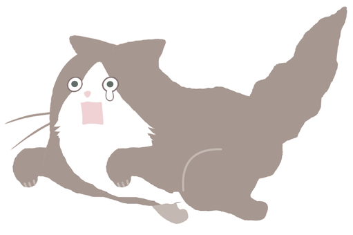 Cat crying and running away, , JPG and PNG