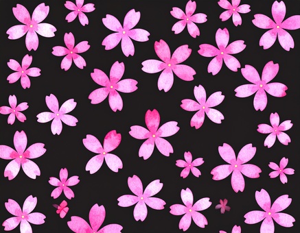Flowers (black background), flower, plant, petal, JPG