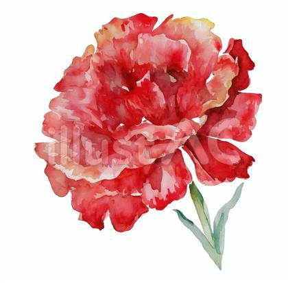 水彩タッチ 花 カーネーション 赤