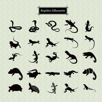 Illustration, reptiles, material del paquete de silueta, animal, 