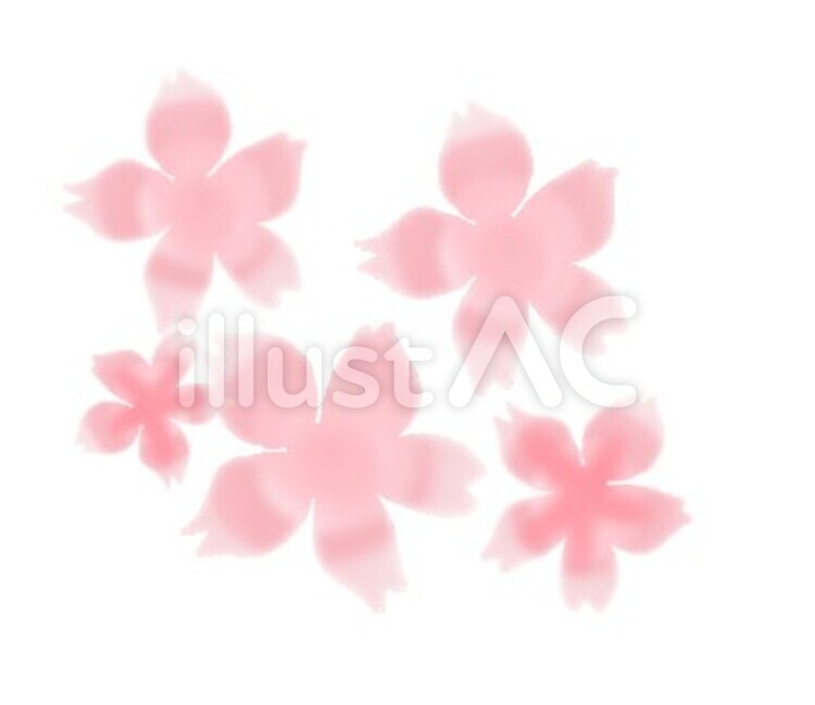 さくら 桜,サクラ,はなのイラスト素材