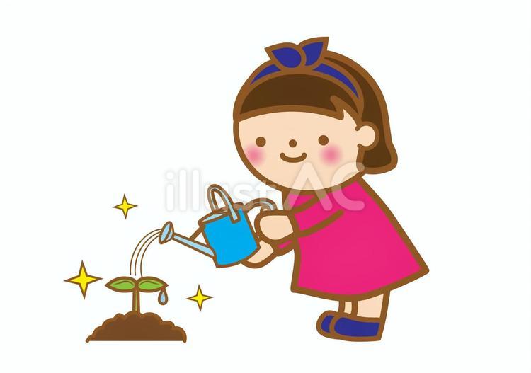 ジョウロで水をあげる女の子 芽,新芽,発芽のイラスト素材