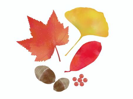 Autumn leaves 04 watercolor wind, JPG and PNG Autumn leaves 04 watercolor wind, watercolor style, fluffy, material, JPG and PNG