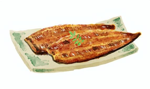 うなぎの蒲焼のイラスト うなぎ,蒲焼,日本,伝統,鰻,土用の丑の日,日本食,食べ物のイラスト素材