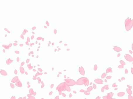 Cherry blossom petals swirling pink, cherry blossoms, petal, pink, JPG and PNG