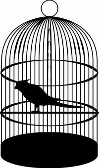 インコ インコ,鳥,ペット,飼育,鳥かご,動物,シルエットのイラスト素材