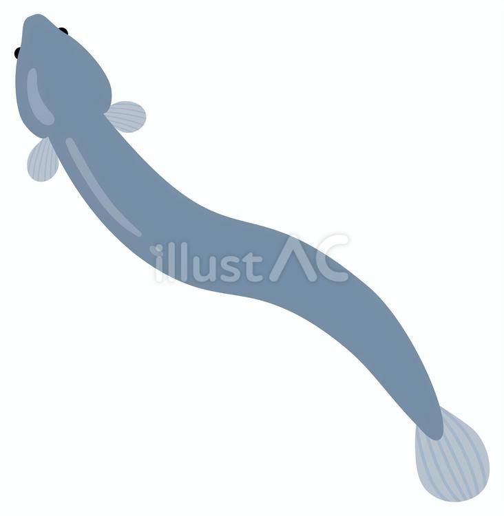 うなぎ、土用丑の日イラスト素材06 うなぎ,ウナギ,鰻のイラスト素材