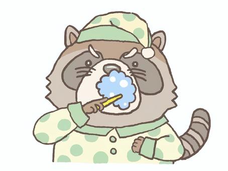 歯を磨いて寝よう！ アライグマ,歯磨き,パジャマ,ナイトキャップ,水玉模様,動物のイラスト素材