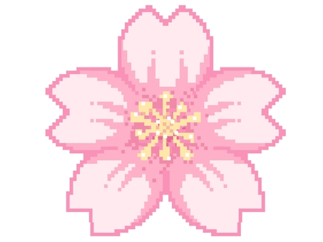 ドット絵風　桜　ピンク ドット絵,桜,アイコン,ピンク,春のイラスト素材