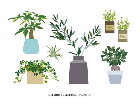PLANT-01, JPG, PNG 和 AI PLANT-01, , JPG, PNG 和 AI