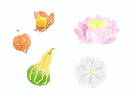 お盆のお供えのセット お盆,砂糖菓子,カボチャ,ほおずき,水彩タッチ,かわいい,落雁,蓮,菊のイラスト素材