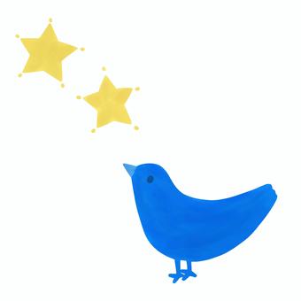 星を見上げる青い鳥 鳥,かわいい,星,イラスト,小鳥,動物,白バック,可愛い,アイコン,見上げるのイラスト素材