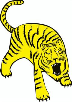 虎吠える 虎,吠える,猛獣,顔,正面,迫力,牙,爪,中国,筆のイラスト素材