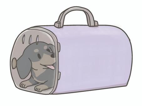 キャリーバッグに入った犬 キャリーバッグ,動物病院,犬,ダックスフンド,旅行,dog,通院,ケージ,避難,マナーのイラスト素材