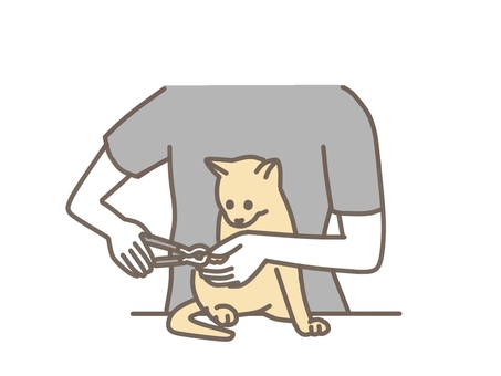 爪切りされる猫 動物,ペット,猫,獣医,獣医師,治療,動物病院,かわいいのイラスト素材