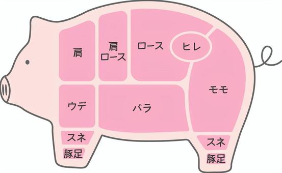 豚肉の部位 豚,豚肉,部位,ポーク,畜産,肉,肩ロース,豚足,食肉,食育のイラスト素材