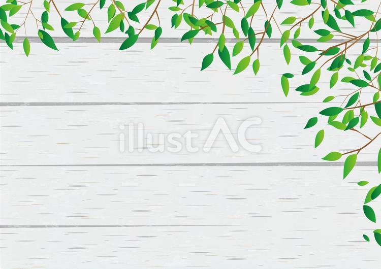 葉っぱと白い木の板の背景素材 木,葉,枝のイラスト素材