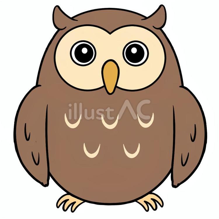 ふくろう フクロウ,一羽,単品のイラスト素材