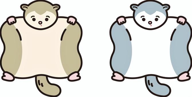 Flying squirrel, , JPG, PNG and AI