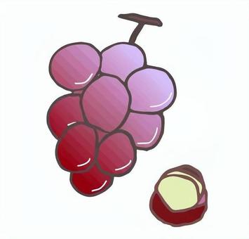 巨峰のイラスト 巨峰,ぶどう,果物,フルーツ,青果,果樹,イラストのイラスト素材