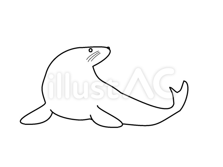 オットセイのぬりえ オットセイ,動物,尻尾のイラスト素材