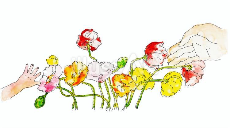 敬老の日ポピーの花と手 敬老の日,ポピー,花のイラスト素材