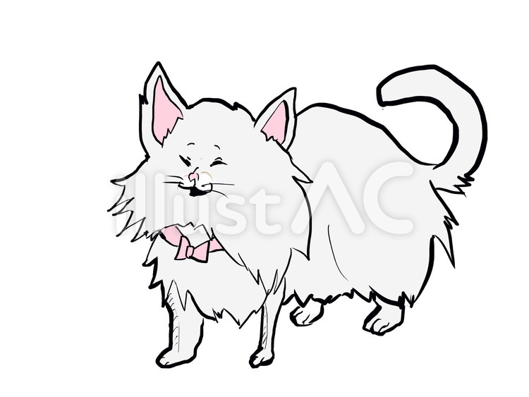毛足の長い猫 猫,子猫,ペットのイラスト素材