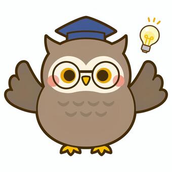 閃いたフクロウ先生 フクロウ,先生,博士,キャラクター,動物,閃く,気付く,思いつく,電球,鳥のイラスト素材
