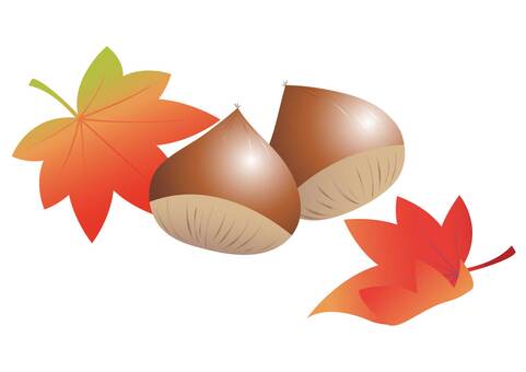 栗と紅葉 栗と紅葉 秋,栗,木の実のイラスト素材