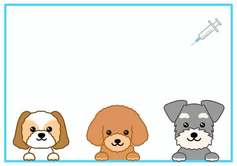 トイプードルの犬と注射・予防接種フレーム トイプードル,シュナウザー,犬,フレーム,動物,可愛い,注射,ワクチン,ワクチン接種,感染症のイラスト素材