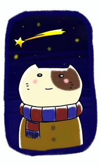 Cats and shooting stars, cat, shooting star, winter, JPG and PNG