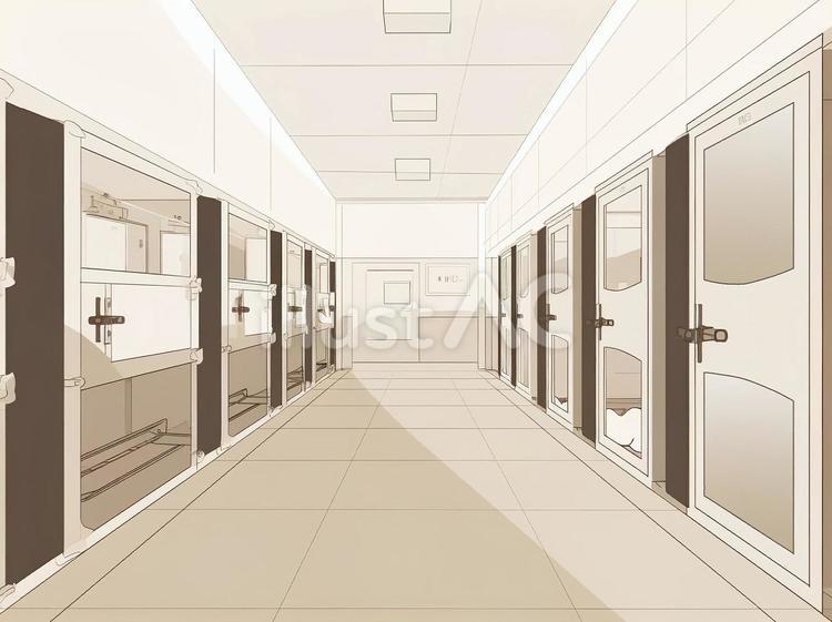 犬の保護施設 アニマルシェルター,保護,施設のイラスト素材