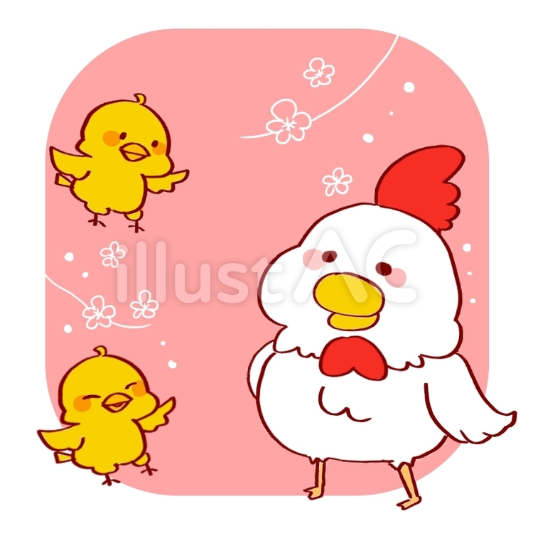 にわとり ニワトリ,にわとり,鶏のイラスト素材
