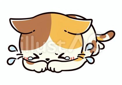 うずくまってえんえんと泣く可愛い三毛猫
