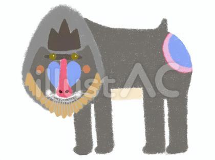マンドリル