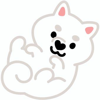 ハート鼻の柴犬（ごろん）5 柴犬,犬,動物,ハート,鼻,ゴロン,寝転がる,仰向け,シンプル,かわいいのイラスト素材