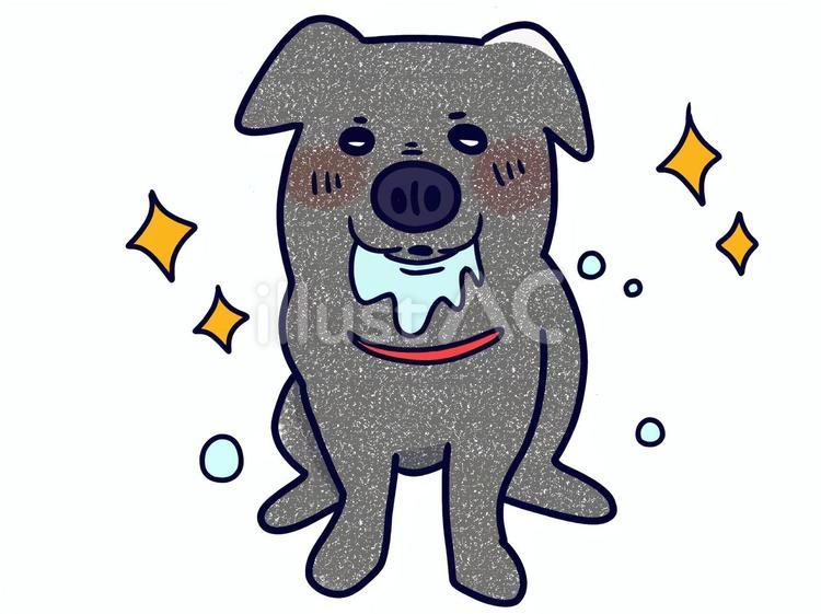 よだれを垂らす犬 犬,ラブラドールレトリーバー,動物のイラスト素材