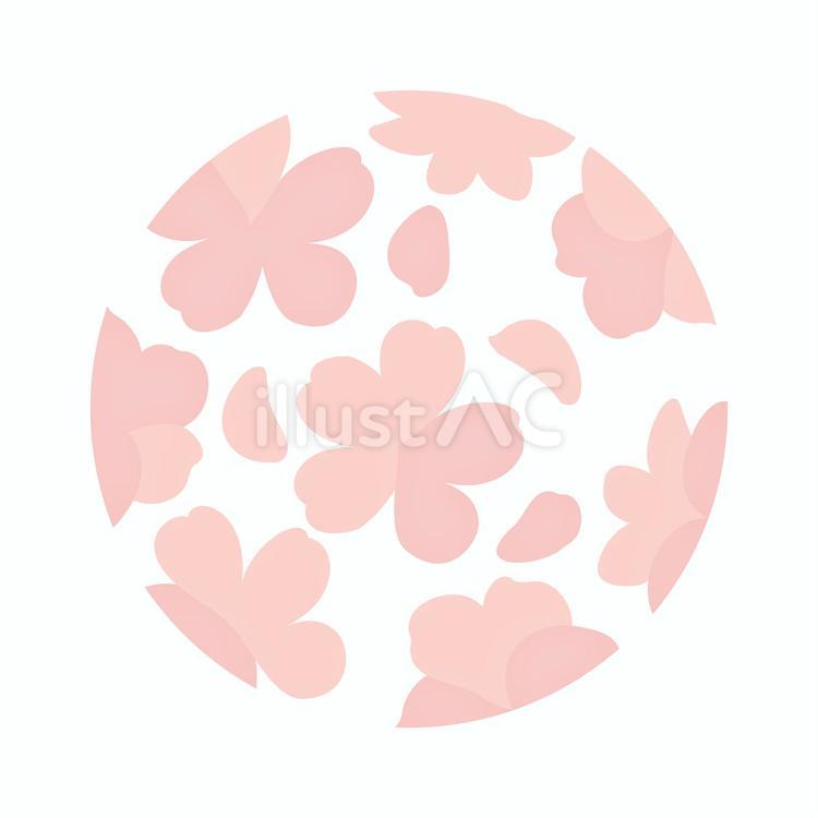 桜のフレーム 桜,フレーム,あしらいのイラスト素材
