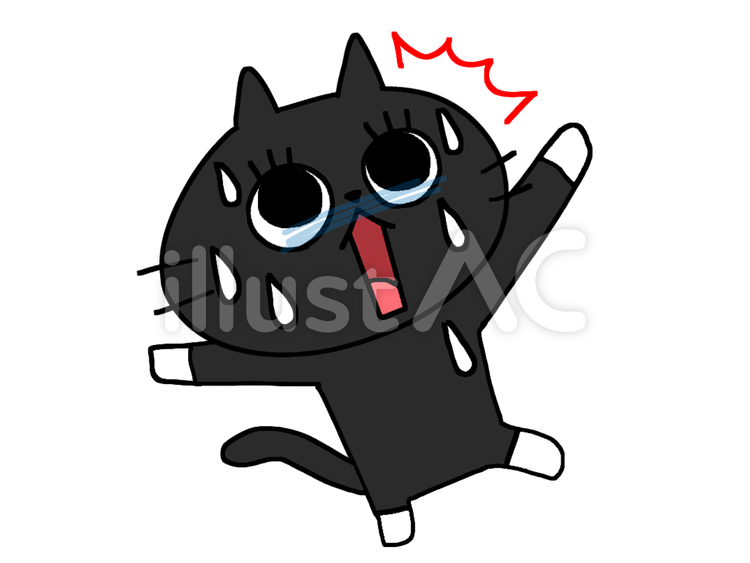 驚く黒猫 猫,汗,ビックリのイラスト素材