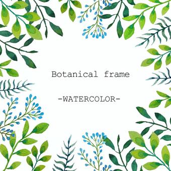 Illustration, botanical, frame, watercolor, JPG and PNG